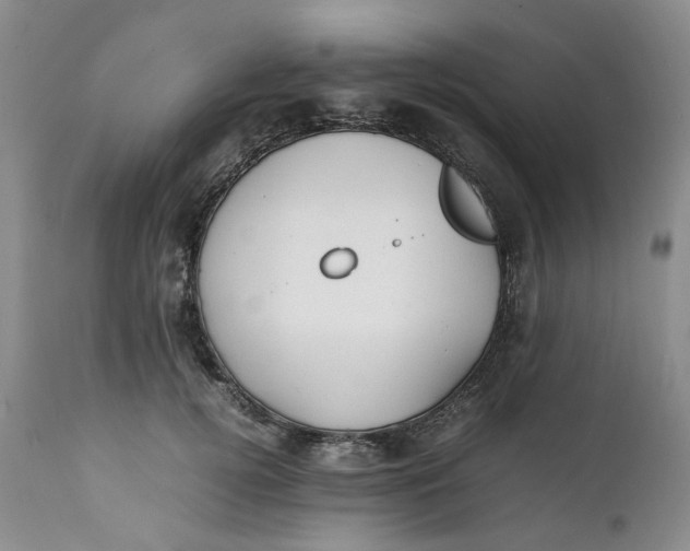 X0000112040752200908241602