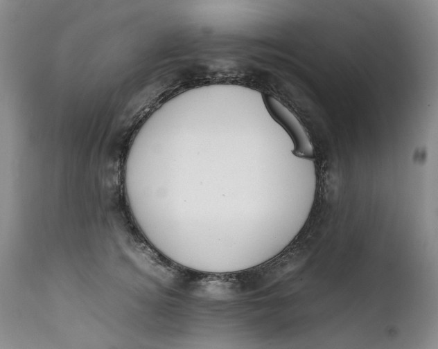 X0000112040756200908241602