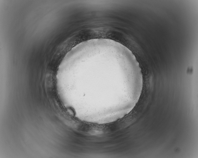 X0000112040757200908241602