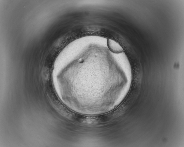 X0000112040758200908241602
