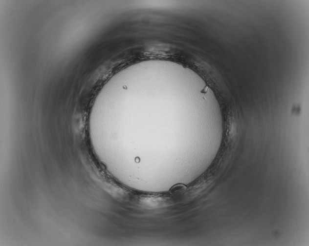 X0000112040759200908241602