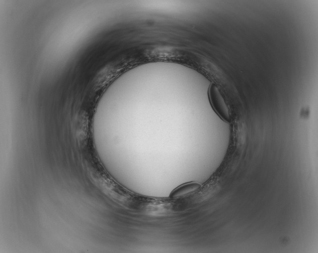 X0000112040760200908241602