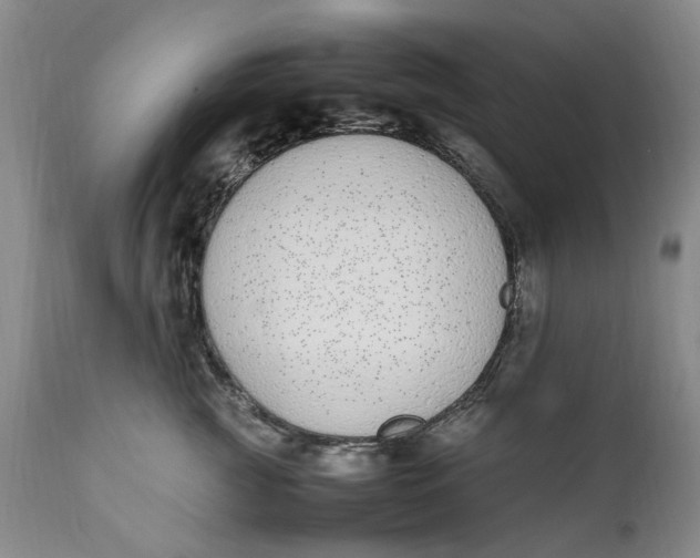 X0000112040761200908241602
