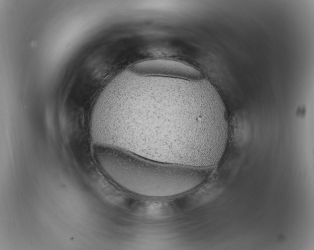 X0000112040762200908241602