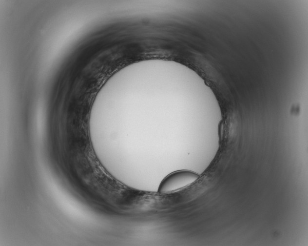 X0000112040764200908241602