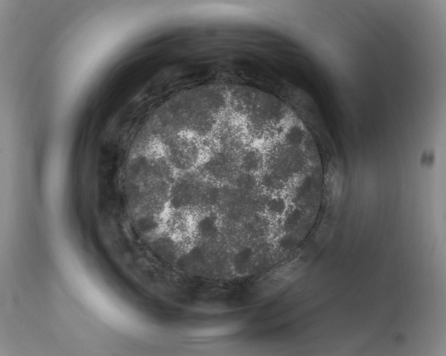 X0000112040765200908241602