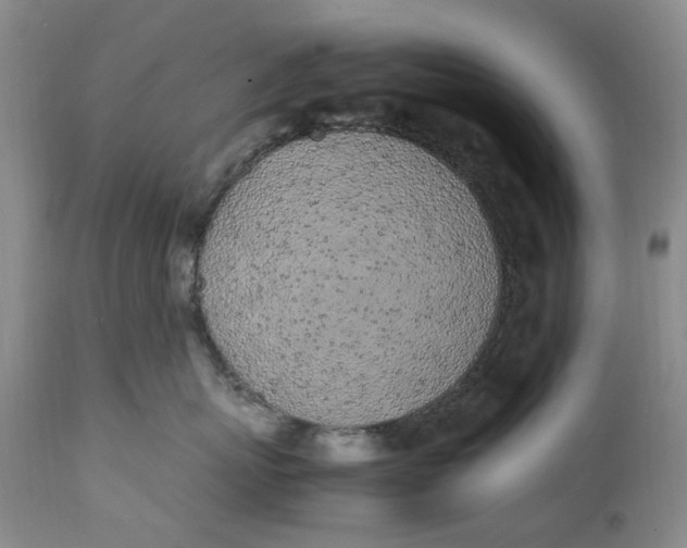 X0000112040767200908241602