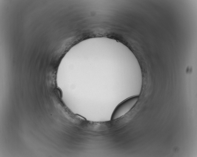 X0000112040768200908241602