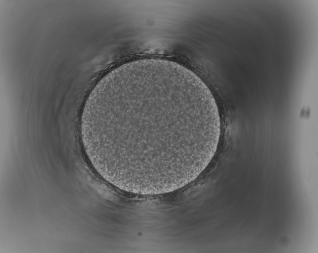 X0000112040769200908241602