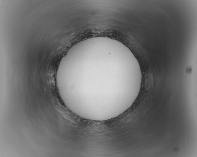 X0000112040770200908241602