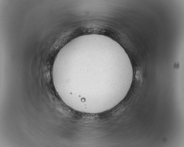 X0000112040771200908241602