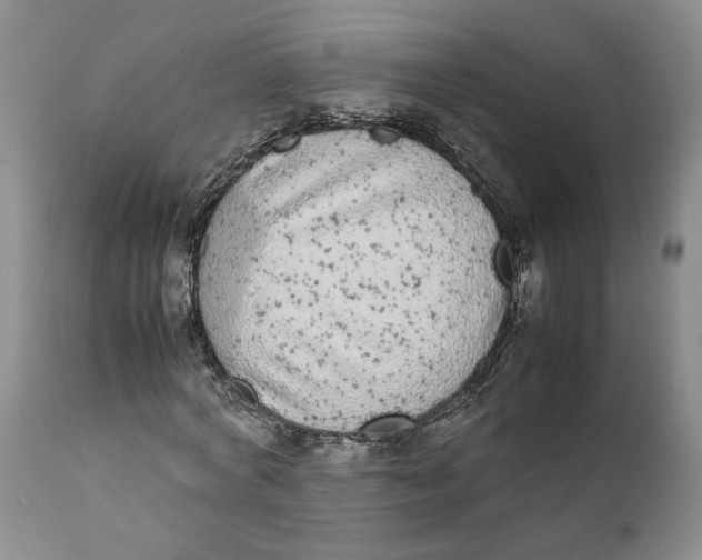 X0000112040772200908241602