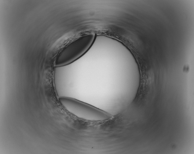 X0000112040773200908241601