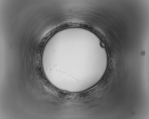 X0000112040775200908241601