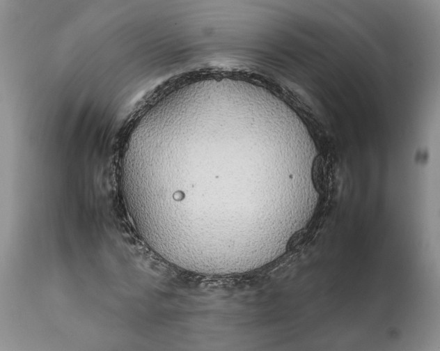 X0000112040776200908241601