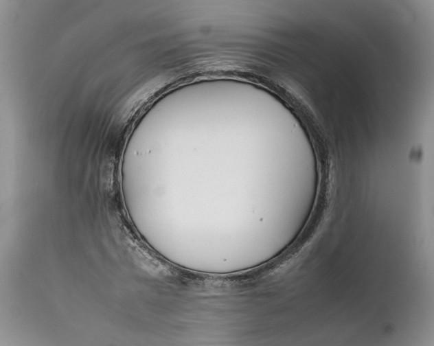 X0000112040777200908241601