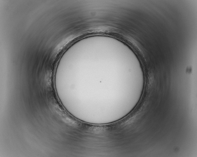 X0000112040778200908241601