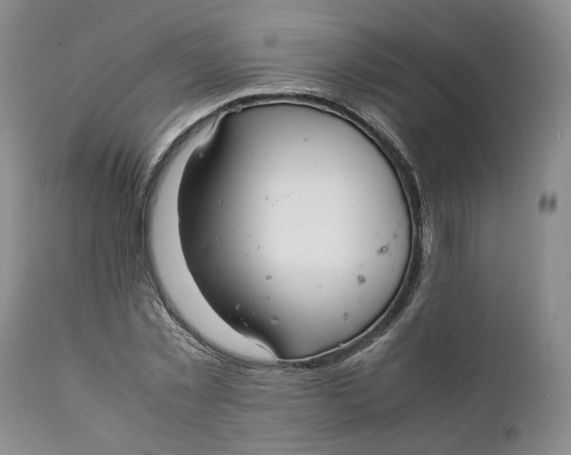 X0000112040781200908241601