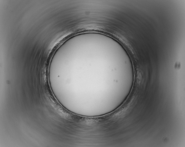 X0000112040782200908241601