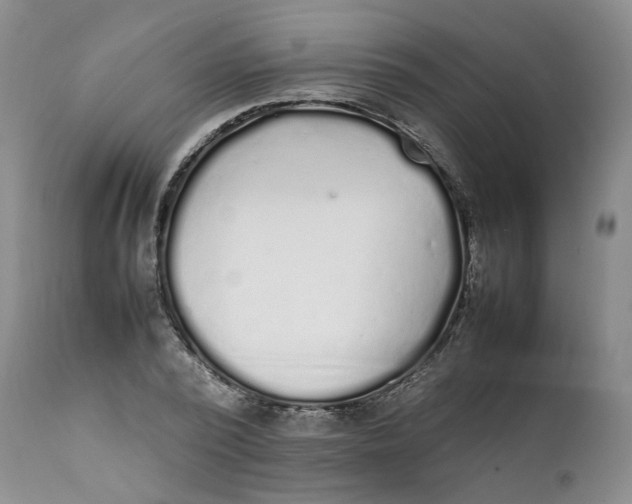 X0000112040784200908241601