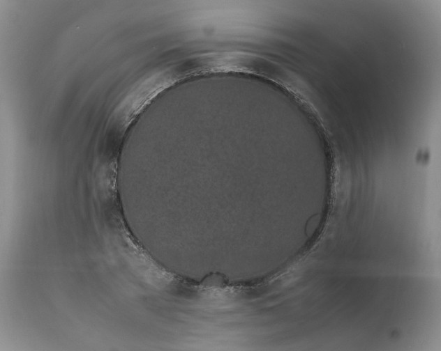 X0000112040785200908241601