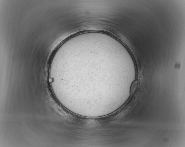 X0000112040787200908241601