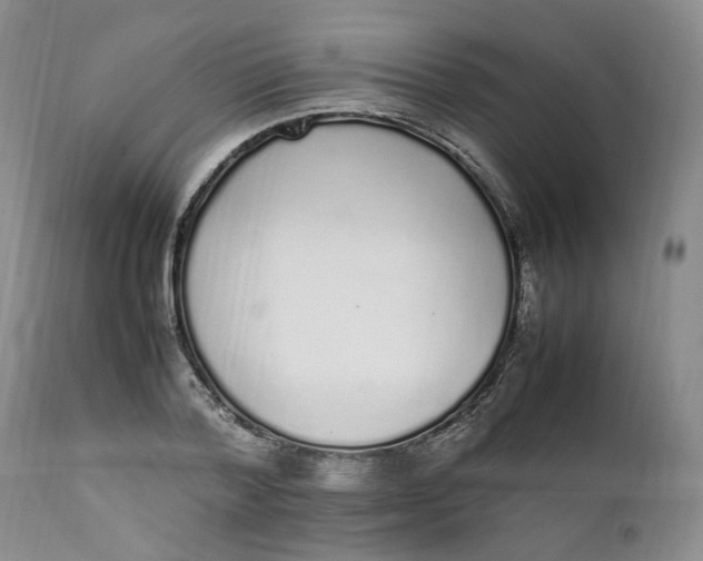 X0000112040788200908241601