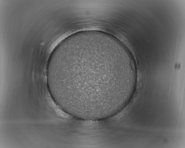 X0000112040789200908241601