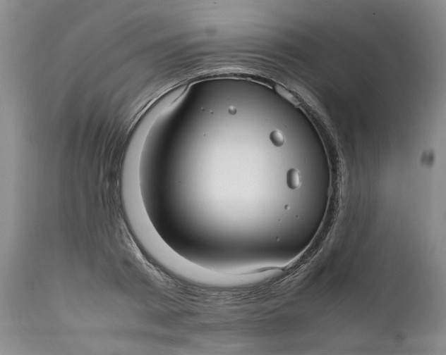 X0000112040793200908241601
