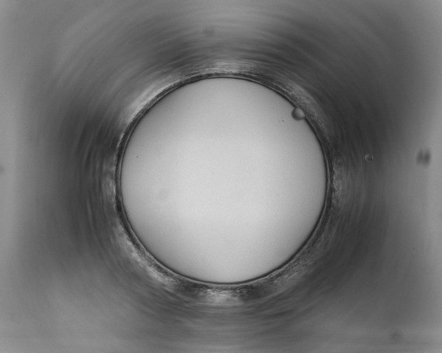 X0000112040794200908241601