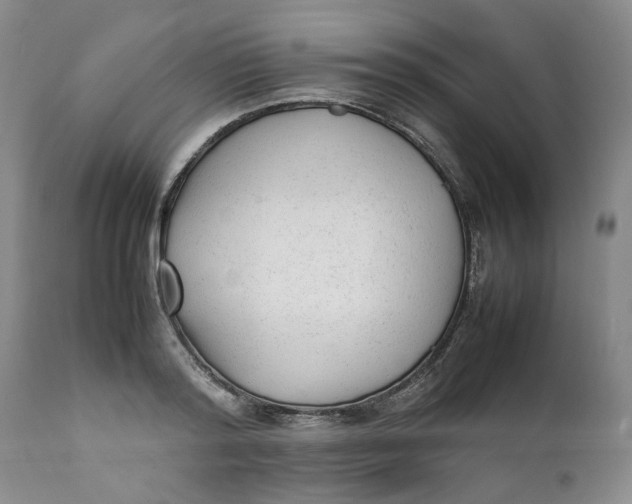 X0000112040796200908241601