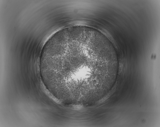 X0000112040798200908241601