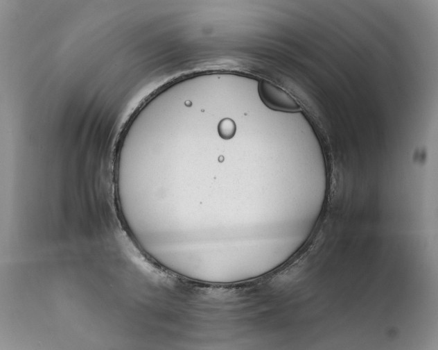 X0000112040800200908241601