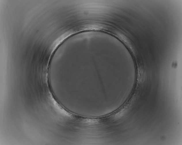 X0000112040802200908241601