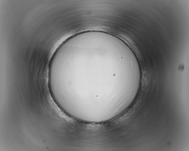 X0000112040804200908241601