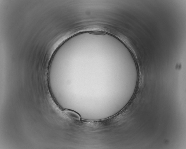 X0000112040805200908241601