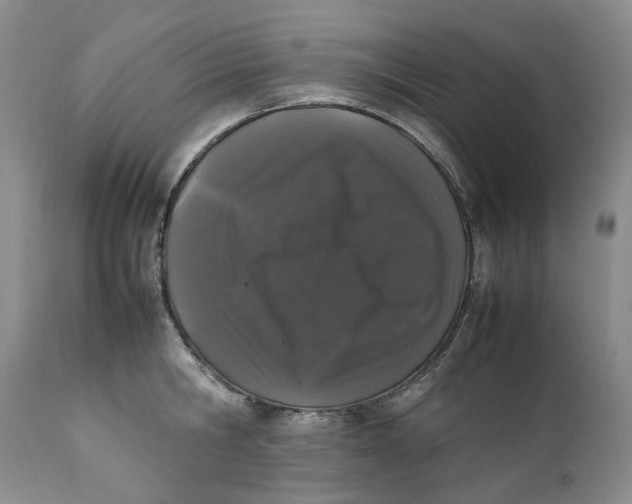 X0000112040806200908241601
