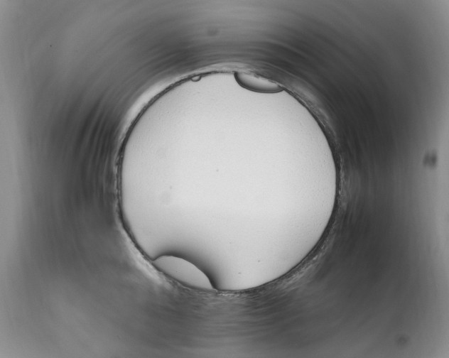 X0000112040808200908241601