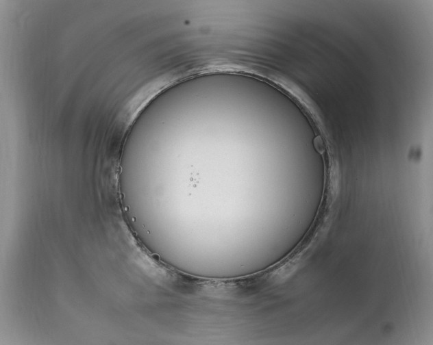 X0000112040809200908241601