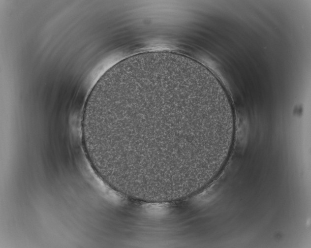 X0000112040810200908241601