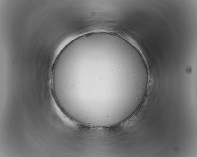 X0000112040811200908241601