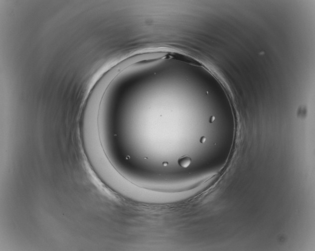 X0000112040813200908241601