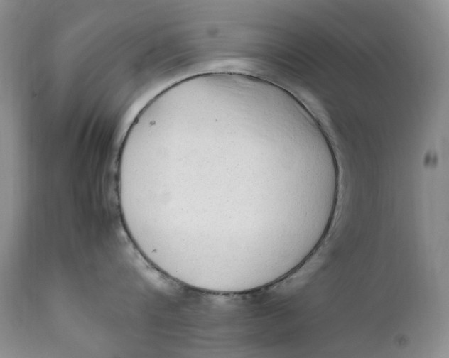 X0000112040816200908241601