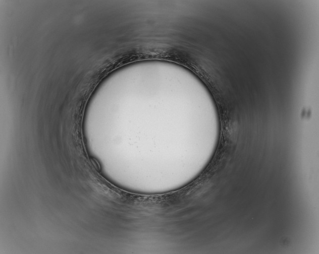 X0000112040817200908241600