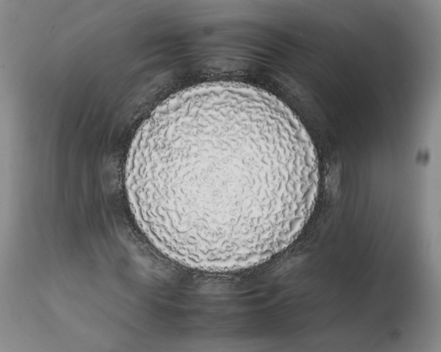 X0000112040819200908241600