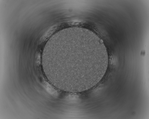 X0000112040820200908241600