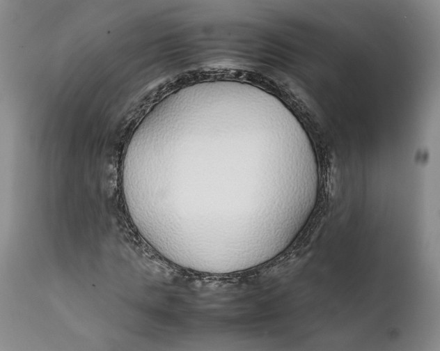 X0000112040821200908241600