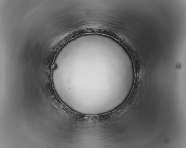 X0000112040822200908241600