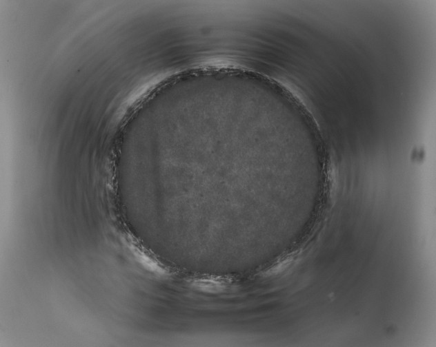 X0000112040823200908241600