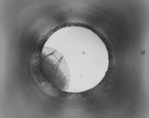 X0000112040824200908241600